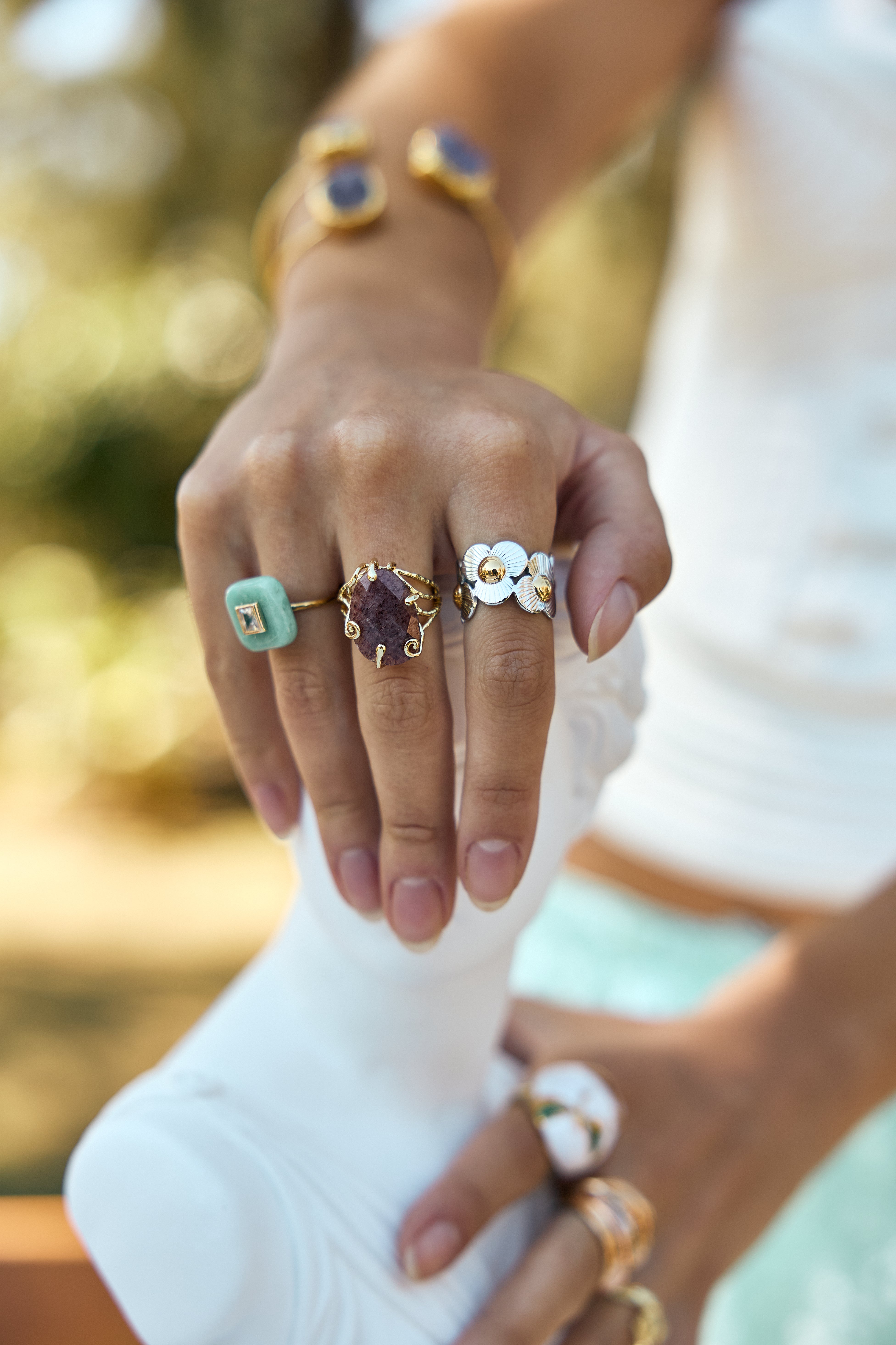 Anel Frame